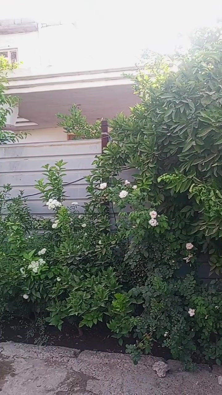 سلام عليكم عندي بيت مساحته 350 مكان راشديه بضهر المنحن شارع وكيله ام ساجد  ***********
