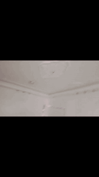 عمل جبس بورد+ سحبات
بأاسعار مناسبة جدآ جدآ
كلة ورانا صبغ وطلس وسنفرة 
ويدلل الفقير اتصل وتدلل 
العمل في بابل حصرآ
***********
