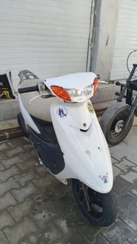 عصفوري • جاهزة • ناقص كفر