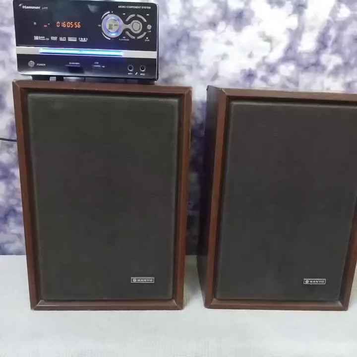 سماعات ماركة سانيو يابانية أصلية
القدرة 20 واط 
قياس  ( 44 × 30 × 19 ) cm 
صوت نقي وصافي 
للاستفار مراسلة الصفحة 

***********
