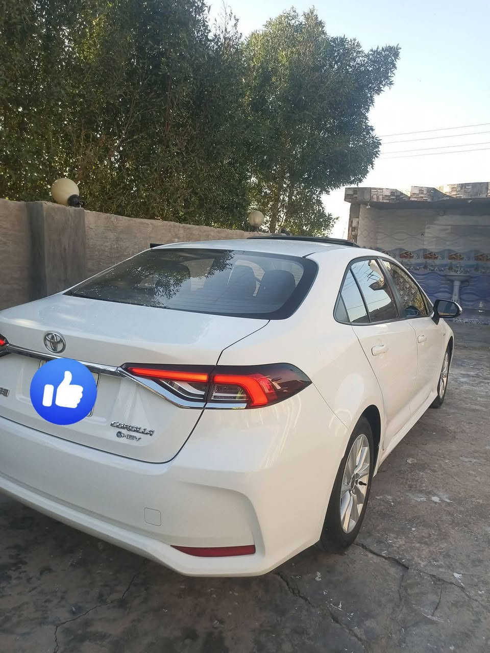 كورلا 2024 هايبرد شكل خليجي مكفوله كفاله عامه فول مواصفات ماشيه 30 حقيقي رقم بغداد مشروع وطني هزه سنويه جديده كير محرك صدر تبريد عل وضع الشركه السعر 147 وبيه مجال مكان سياره الانبار الكرمه ***********
