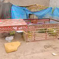 فلوجه صقلاويه • شهداء الثانيه • مجحل