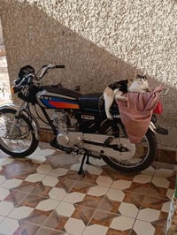 ورحمة الله دراجه نامه امتياز موديل 2025 محرك ما مفتوح سعر 550 وبي مجال...