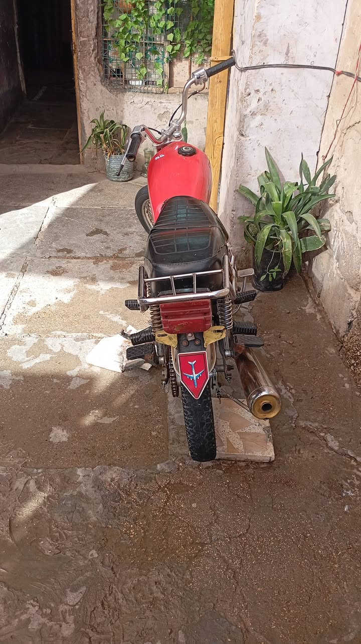 سلام عليكم دراجه اربعه كير للبيع كلك السعر 350 وبيها مجال حك الجيه بكاني بغداد المحموديه متواجد بل حساب راسلني وبيك خير ودلل


**إذا كنت صاحب هذا الإعلان وتريد حذفه لأي سبب، رجاءا أرسل رسالة إلى الدعم الفني**