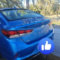 سوناتا • صبغ فقط • رقم نجف