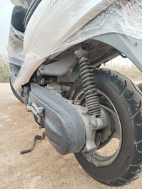 دراجة عصفورية • بغداد بسمايه • مكفولة