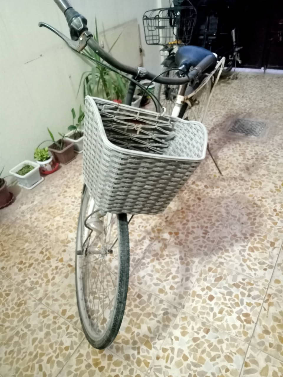 بايسكل للبيع السعر 60


**إذا كنت صاحب هذا الإعلان وتريد حذفه لأي سبب، رجاءا أرسل رسالة إلى الدعم الفني**