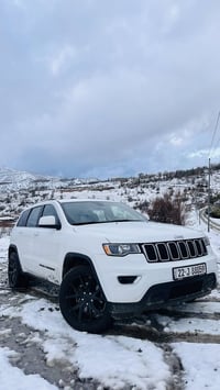 لاريدو • ٢٠١٩ • كفالة عامة