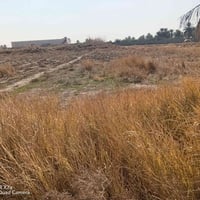 يوجد دونم للبيع منطقه الدوره هور رجب منطقه الوصيفي  كامله الخدمات واجه...