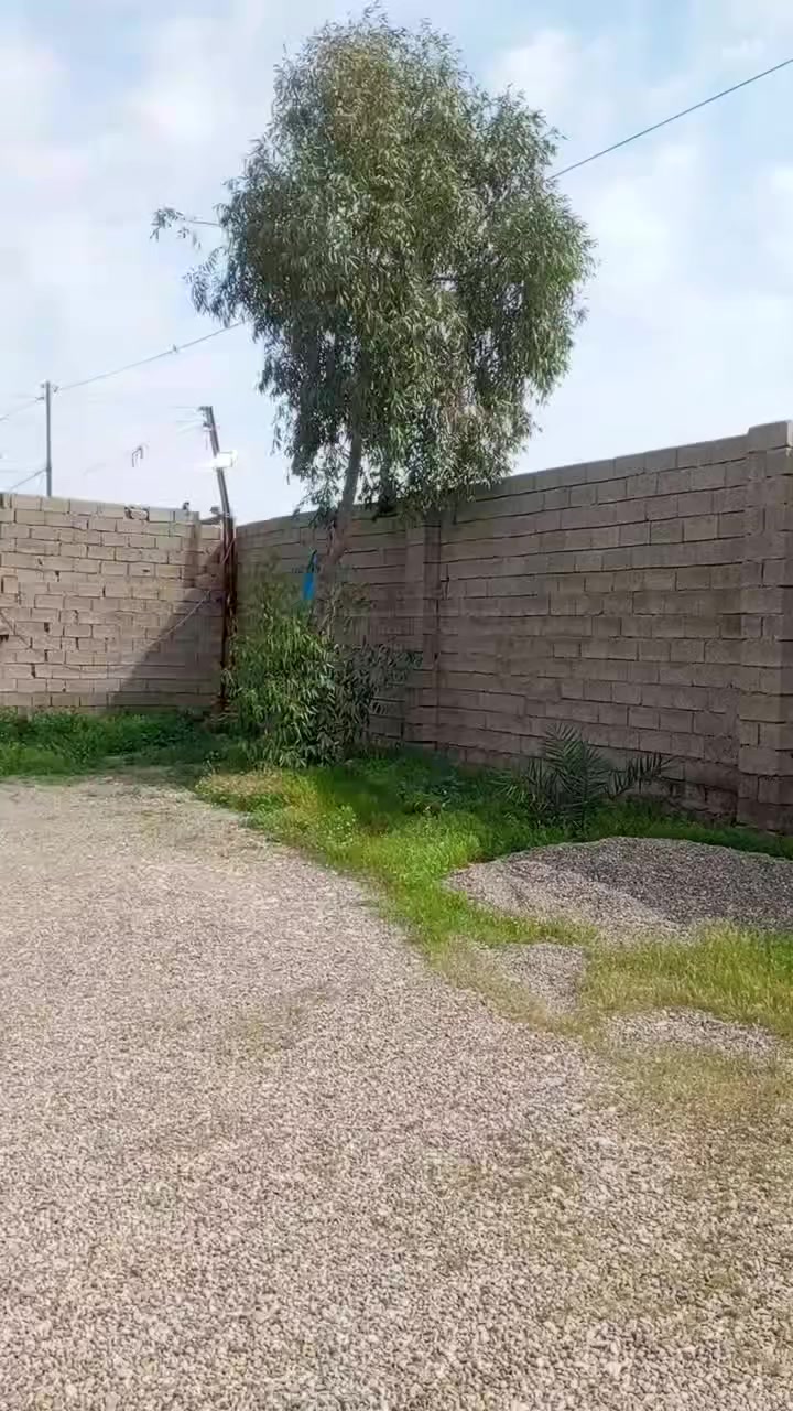 🛑 أعلان
قطعه + دار ركن للبيع رقم بلدية حي امام احمد 

🌍الموقع حي امام احمد قرب جسر الجنوبي مقابل الكراج 

🗺️ المساحة 1100 متر //الف وميه متر 👍

☎️للاستفسار اتصل ***********

مساحة الدار 200 متر يتكون من غرفتين ومطبخ وهول واستقبال وصاله ضيوف

📢 ملاحظة،،،تريد يبيع الك ربيع من مساحة القطعة أو نص او كامل  مثل ما تريد 

أو مراجعة المكتب الكائن شارع العام بأتجاه بغداد مقابل حلويات علي الحمداني وصيدلية سما طوز 
ومن الله التوفيق 🏡
