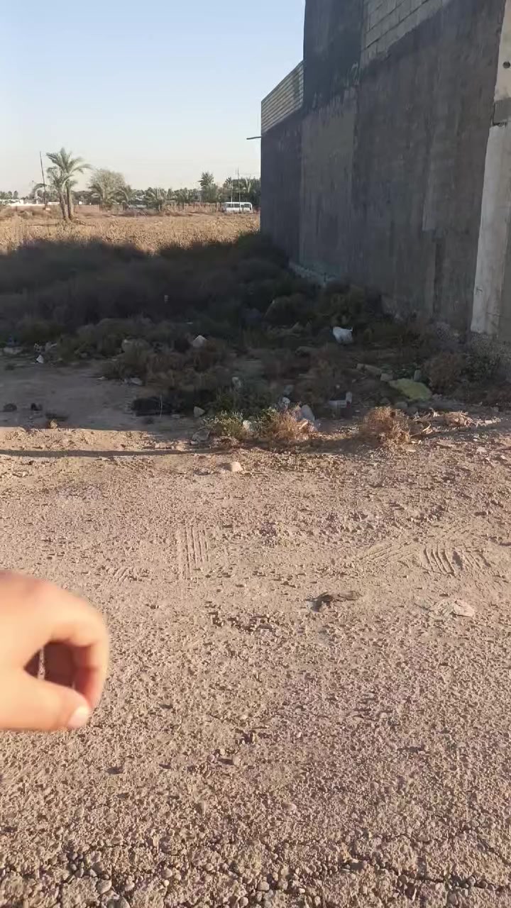 قطعة ارض ٢٠٠ متر 
الدورة بدايه هورجب 
قرب السريع الجديد وسريع غزة
سند ٢٥ الواجة ١٠ بالنزال 
السعر ٥٠ مليون الاستفسار الاتصال
***********
***********
