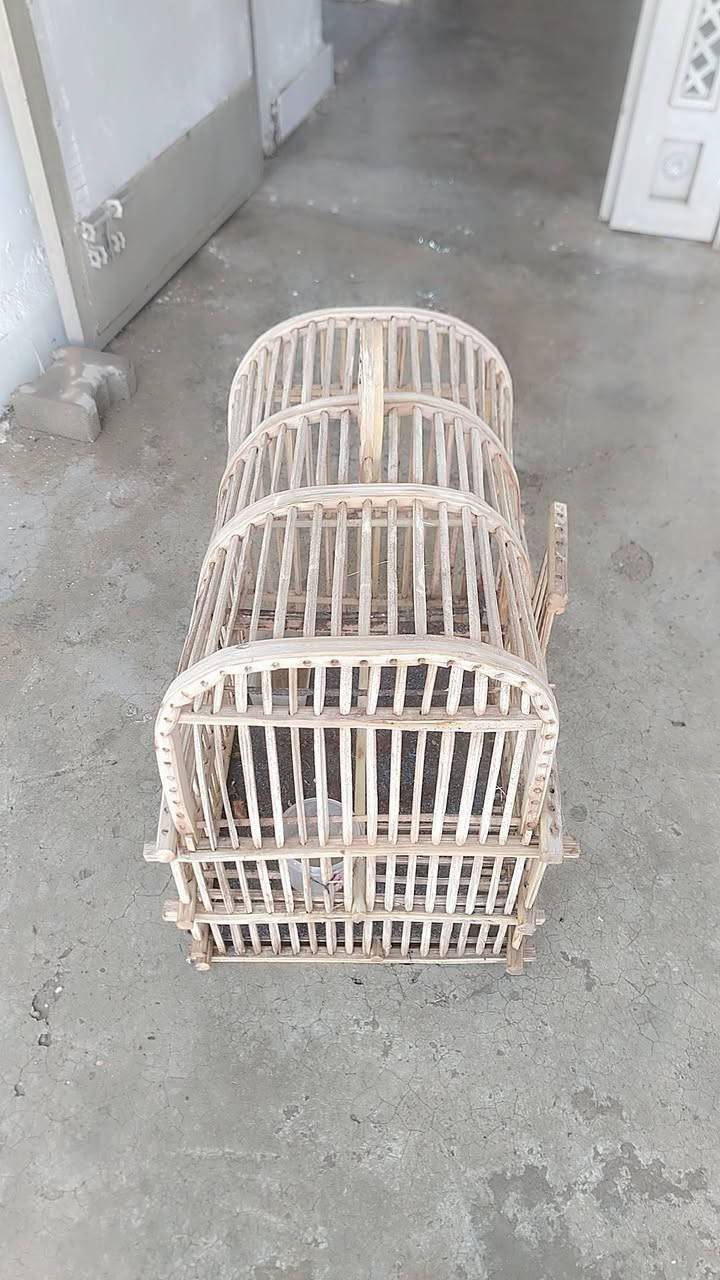 سلام عليكم غفص بلابل للبيع

نضيف لوك اي عيب مابي


**إذا كنت صاحب هذا الإعلان وتريد حذفه لأي سبب، رجاءا أرسل رسالة إلى الدعم الفني**