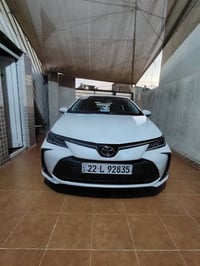 كورلا جيهان • ٢٠٢٤ • رقم اربيل