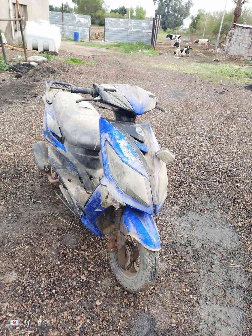 سلام عليكم دراجه للبيع يرادلها تجفيت اوراقها منفيس موجود كفراتها زينه تشقل سلف تايرات جدد بس انفخ وطلع سعر 100 قفل 🔐 مكاني سبع البور المصالحه وطجاج؟


**إذا كنت صاحب هذا الإعلان وتريد حذفه لأي سبب، رجاءا أرسل رسالة إلى الدعم الفني**