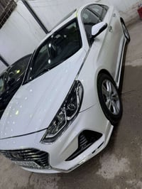 سوناتا • ٢٠١٨ • صبغ وحزام