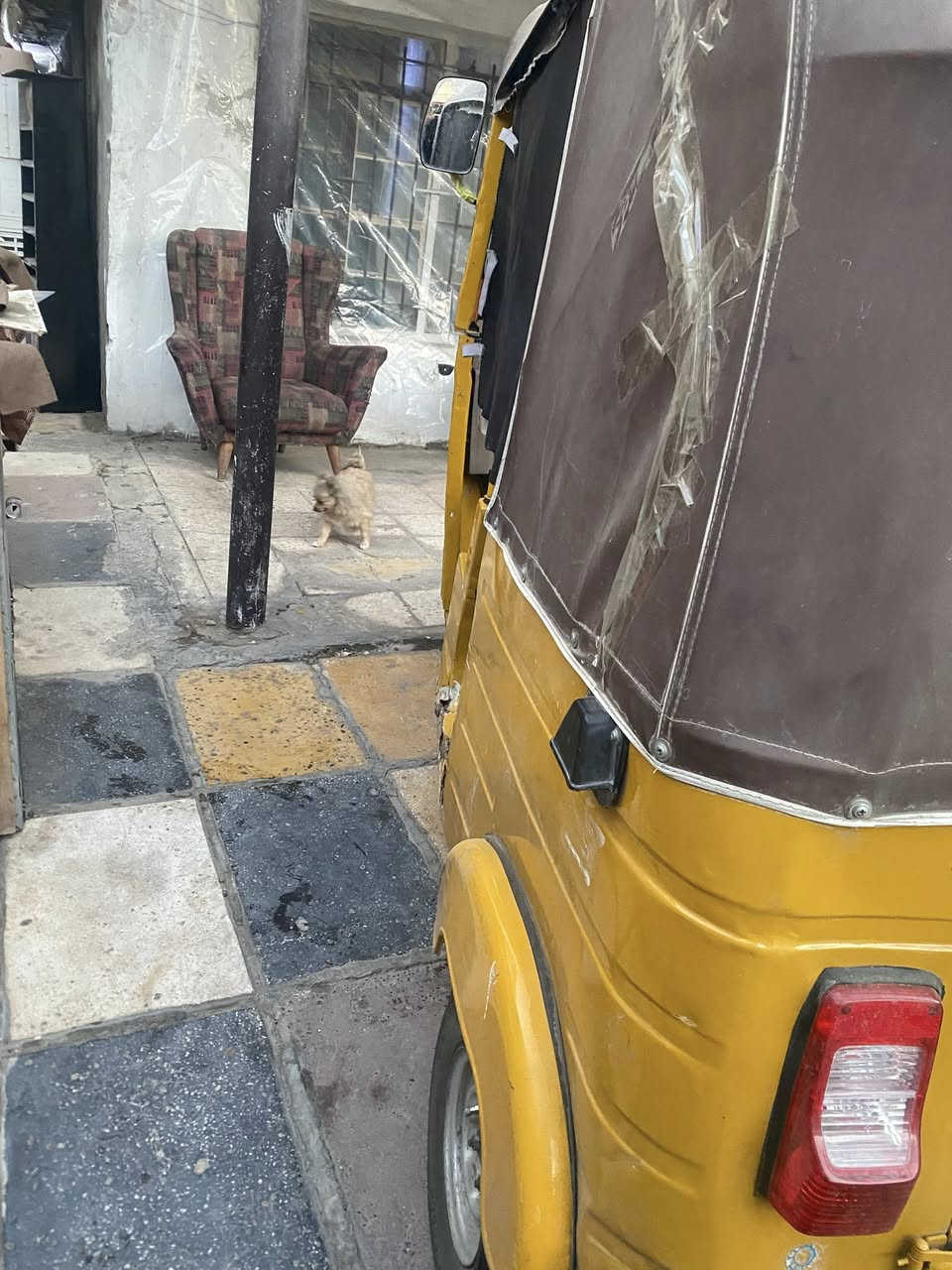 السلام عليكم تكتك الصفره ١٩شهر٤ارواق السعر.5300. وال تكتك الحمره موديل 18رقم وسنويه السعر 5500 رقم الهاتف ***********
