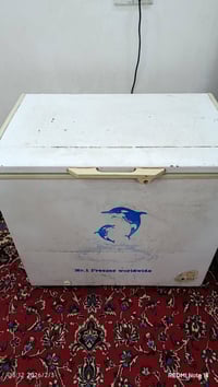 مجمدة 10 قدم • شغالة • الحسينية راشدية