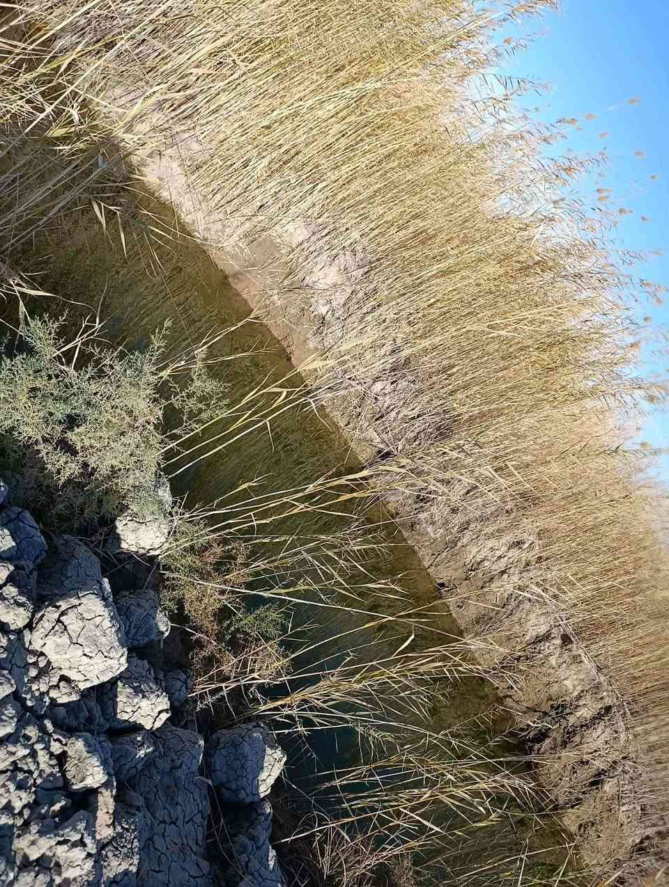 3 دونم طابو زراعي سند 25 ثاني يوم افتحلك بيان بل طابو مسيجه بيارسي صالحه الزراعه وسكن ماء اساله وكهرباء ومي سقي متوفر مدرسه قرب الارض تبعد عن شارع حله بغداد 300 متر.عن الجسر الفاصل بين الحله والمحاويل.***********.سعر الدونم 65.
