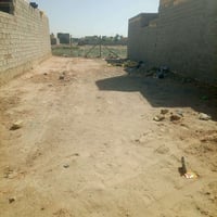 عمود ١٣٤ • ١٥٠م • نص