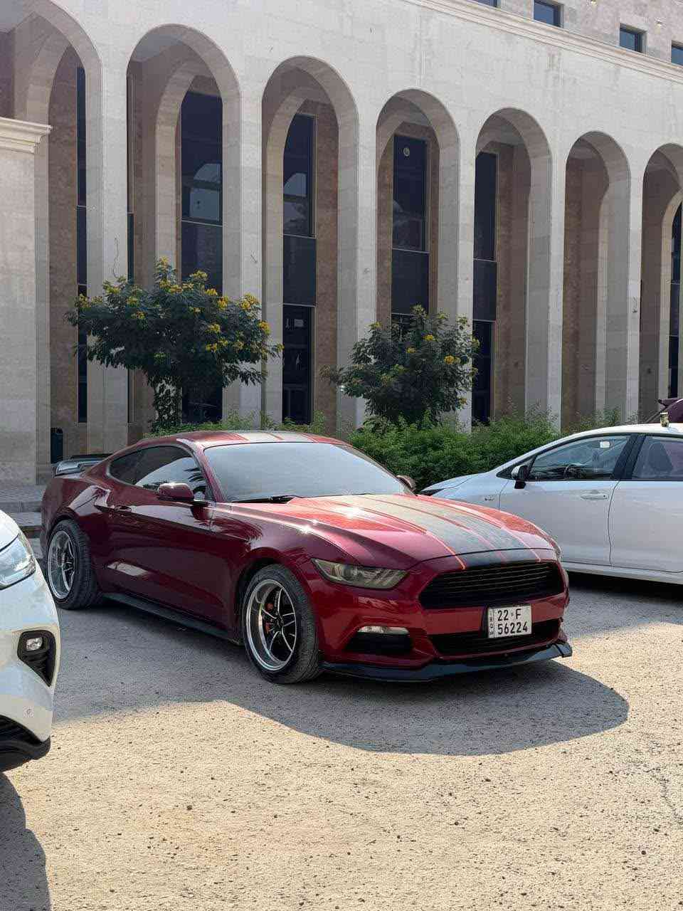 موستنك 2017 للبيع V6 .. 3700 او مراوس بسياره 4 بوب
مواصفاته معروفه محاجه احجي بيها 
حادثها 3 قطع جهة السايق فقط 
بدون شواصي بدون لغود (ايرباك فقط سقف ) والسقف مبدل سقف روز رايز ..✨
ماشيه السياره 89 مايل ..
السياره كلشي بيها جديد .. 
السياره مملعوب بيها من ناحية صوت لو برمجه عليها برمجه فقط مراوح .. 
السياره حجر بلادي بيها .. ✨
*********** بغداد, العراق
