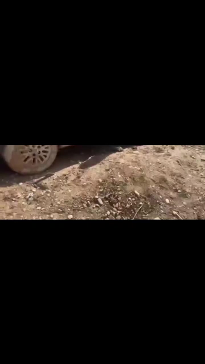 السلام  عليكم للبيع مارك بيه حادث. ابيع ع وضعيته.  رقم ديالى انكليزي  سنويه ل-28    بدي جديد محرك 2500ديلكو  قبل 20 يوم شاده كير جديد   سياره متعوب عليهه. ابيع ع وضعيته لون لؤلؤي اتصال على الرقم
***********
