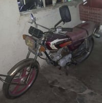 تايجر
