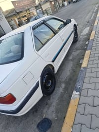 بارص • ٢٠١٣ • رقم نجف