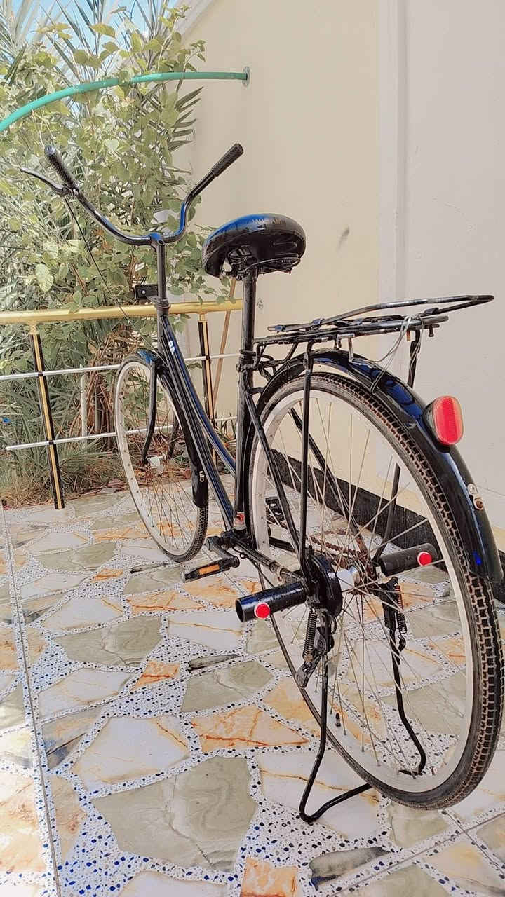 السلام عليكم بايسكل للبيع حجم 27 المكان البصره ابو خصيب كوت ثويني السعر (+65+) الرقم***********
