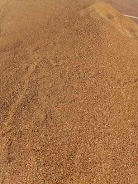 بذور وفيه فرنسية  مغلف جيل اول درجة أولى نظافة شرط تجي تشوف بعينك  وقبل الحصاد الزرع كصه وحده العنوان واسط قظاء الحي للإستفسار الإتصال ***********
