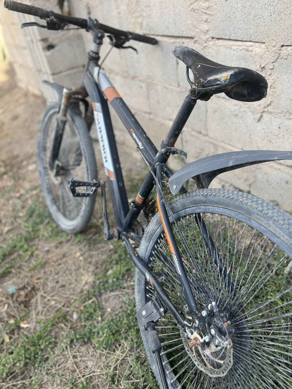 السلام عليكم باسكل جبلي للبيع السعر 65 وبي مجال المكان بابل المحاويل


**إذا كنت صاحب هذا الإعلان وتريد حذفه لأي سبب، رجاءا أرسل رسالة إلى الدعم الفني**