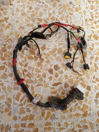 سوناتا • قطع سوناتا • مقدس