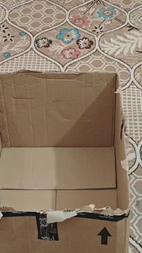 شلعه • بيها اخير