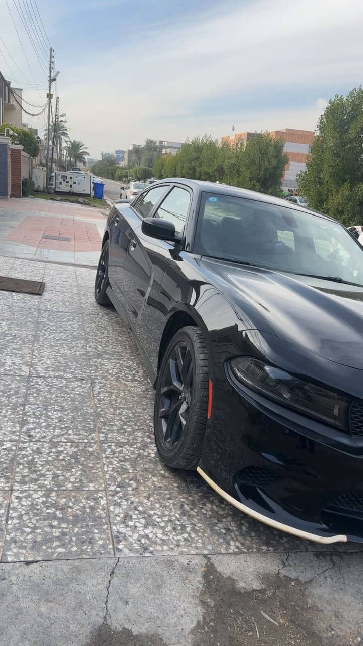 جارجر 2023 جي تي سنويه باسمي


**إذا كنت صاحب هذا الإعلان وتريد حذفه لأي سبب، رجاءا أرسل رسالة إلى الدعم الفني**