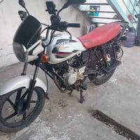 بوكسر كلاسك • ٢٠٢٣ • اوراق