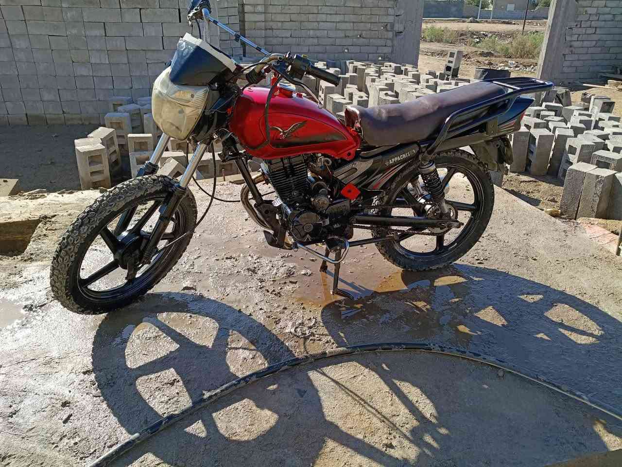 للبيع السعر 550 رقم الهاتف واتساب ***********
دراجه رقم و سنويه تحويل ثاني يوم
