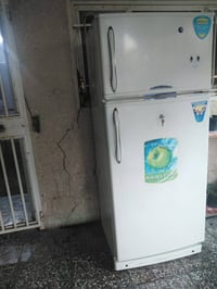 كونكورد • حجم كبير • تجميد جيد