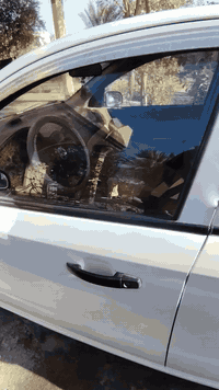 السلام عليكم ورحمة الله وبركاته اخوان افيوم مديل 11 مشروع وطني رقم بغدا. بسمي  وارد امريكي بيه جاملغ مبدل  مكفوله من الكلبه ولغود وشواصي مكينه ١٦٠٠ مفتوح
سنويه صاقطه مكانهة ديالئ بلدروز
وترهم مراوس حسب القناعه.

***********
