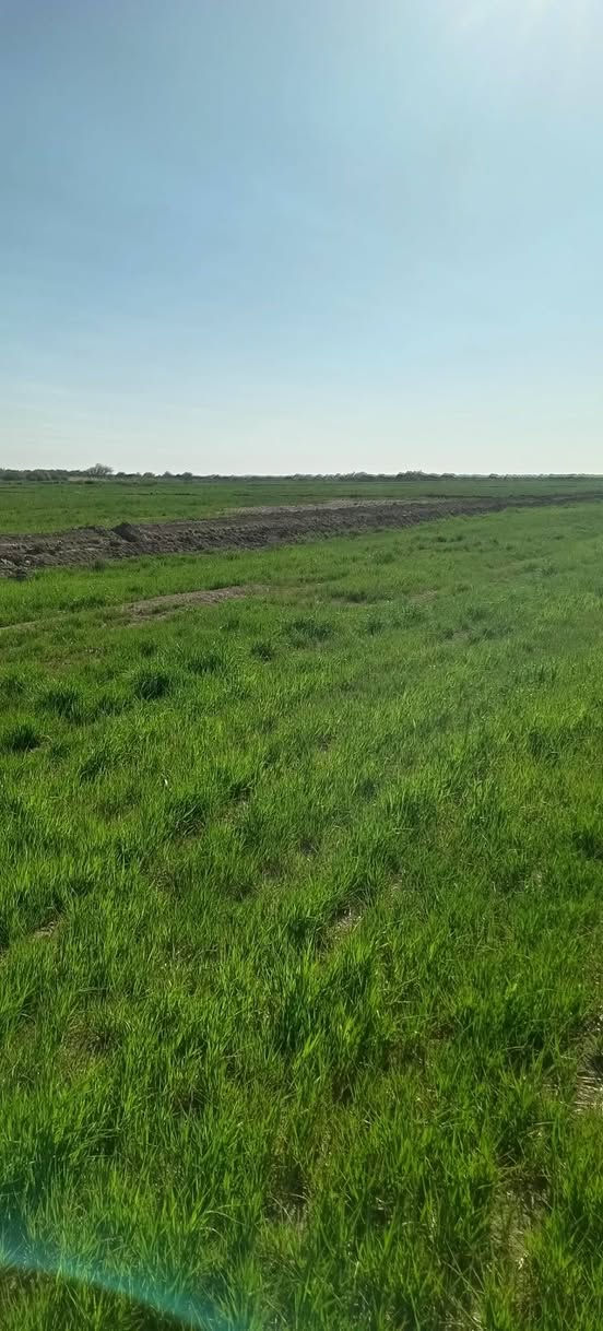 السلام عليكم... جاير للبيع
تتوفر مساحة 30 و25 دونم 
العنوان الديوانية البدير قرية بولان الشرقية 
للاستفسار ***********
