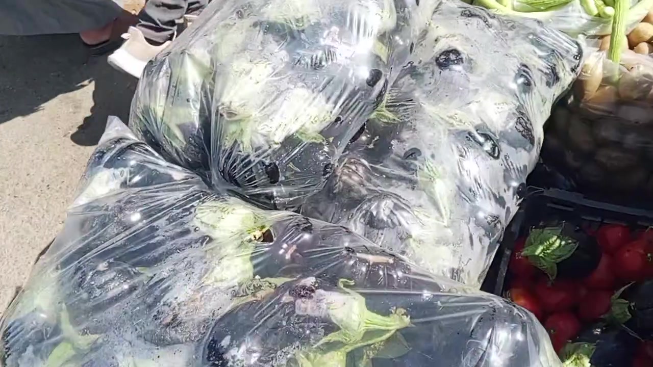 تفليش الاسعار اليوم المناسبه جو السوق مكاننا شارع المستشفى مقابيل مدرسه شهيد يعرب تفليش الاسعار خلي ياكل المواطن الفقير علوة البو عجه بلاش يوم مسواك ورخيص موز بالف الو بلف برتقال على حلا بالف بتيته عراقيه 500 بيتنجان عراقي 500 مشمش بالف ونص موز بلف برتقال على بلف بصل يابس 500 بيتنجان عراقي 500 عنب عراقي 500 عنب عراقي 500 طماطه عراقيه خمس كيلوات ب 2000


**إذا كنت صاحب هذا الإعلان وتريد حذفه لأي سبب، رجاءا أرسل رسالة إلى الدعم الفني**