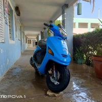 فراشه فحل • مراوس • كهربائيات