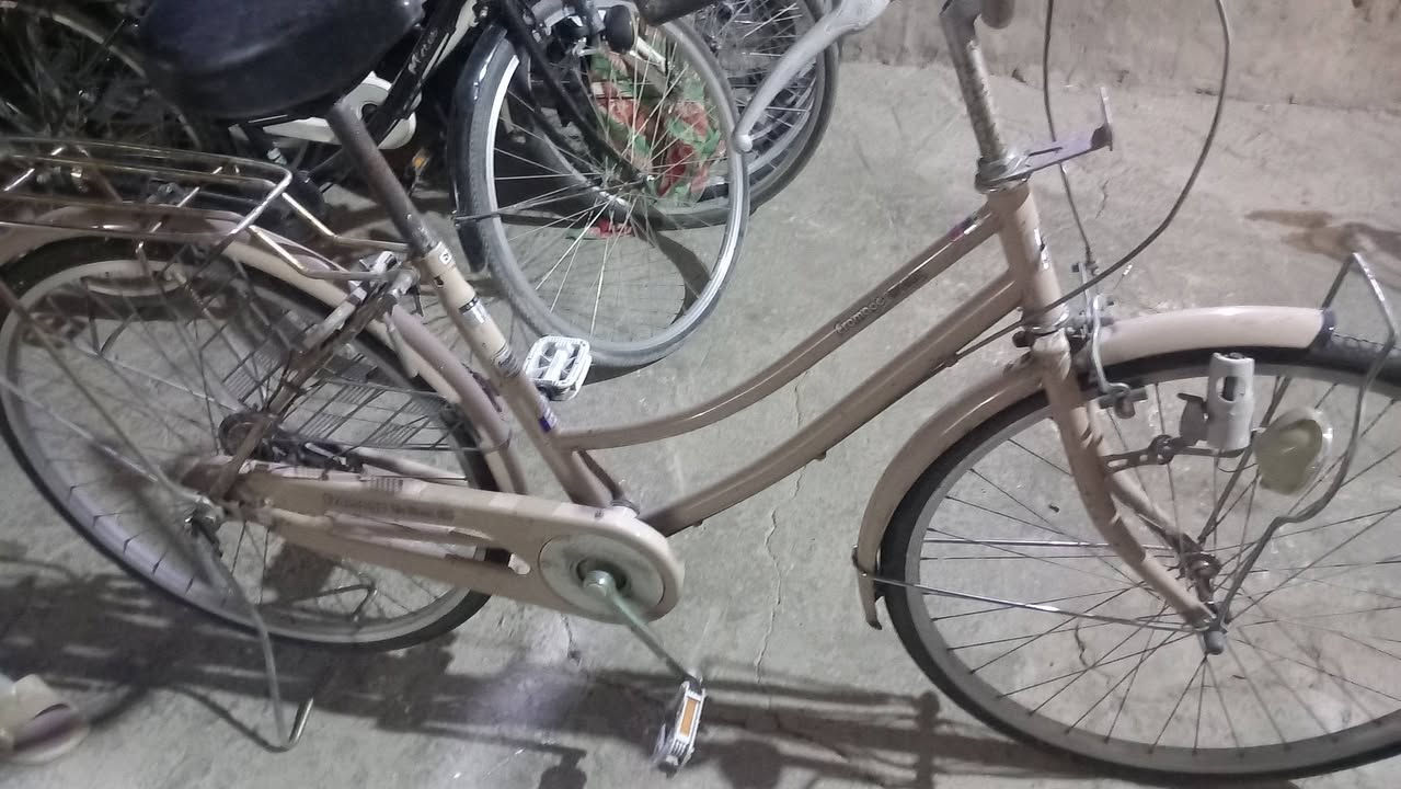 اللهم صلي على محمد وآل محمد
باسكلات حاويه للبيع 
فول نضافه ماركه ياباني حجم ٢٦ 
مكاني شطره قرب المعهد التقني مجاور ملعب الشهداء الخماسي للإستفسار على الرقم ***********بي وات ساب لالايوجد توصيل
