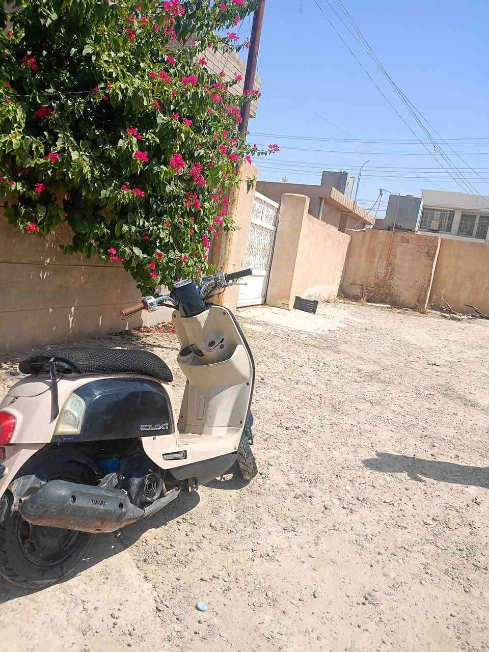 سلام وعليكم ماكس بوليس للبيع السعر 625 التصال ***********
