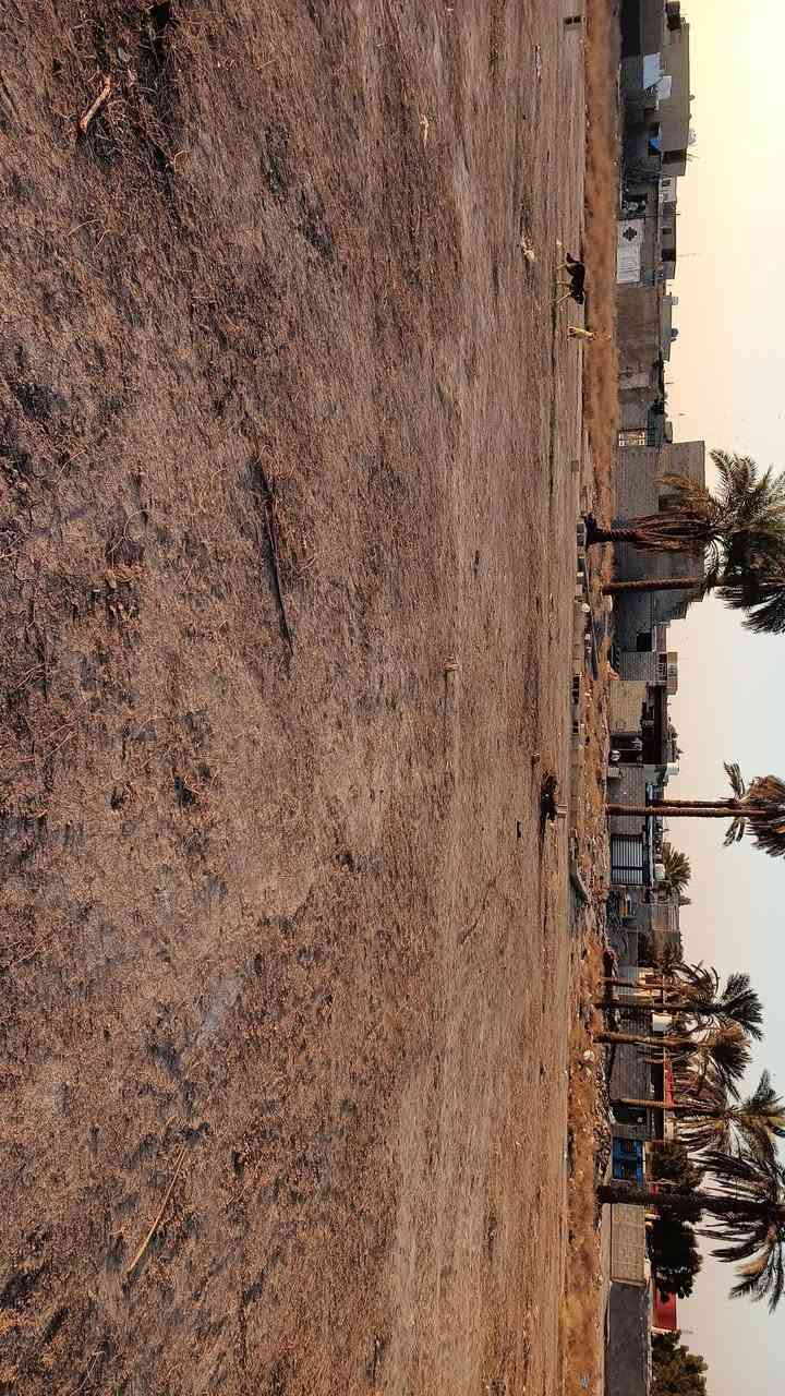 السلام عليكم خواتي، يوجد لدينا قطع أراضٍ للبيع بالعريفية، بالقرب من محلات زبيدي قريبة من شارع . الاستفسار أكثر أتصل ع ***********
