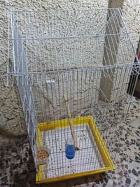 يرهم كوكتيل ببغاء دره غندور نظيف هو وملحقاته 30 الف حجمه جبير توصيل ما...