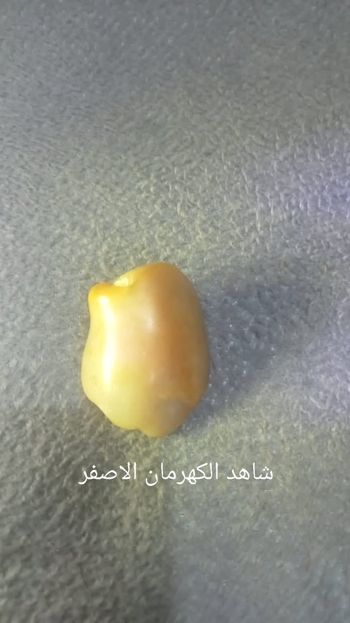 مجموعة متنوعة من الأحجار الكريمة تتضمن التشكيلة أحجارًا روحانية أو تراثية مثل "الهبهاب" و"خرزة المحبة" و"الحجر السليماني" المصور.

يمكن استخدام هذه الأحجار في صياغة المجوهرات، أو بيعها كقطع خام أو فصوص.


**إذا كنت صاحب هذا الإعلان وتريد حذفه لأي سبب، رجاءا أرسل رسالة إلى الدعم الفني**