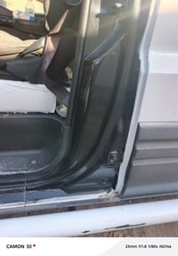 بتره • ٢٠٠٤ • مصبوغة