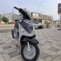 ماكس منغولي • سلف • نضيفة