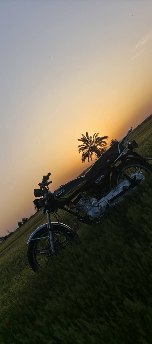 سلام عليكم دراجه سيڤان موديل ٢٣محرك مكفول شلعه ومعدل  نارر🏍👌نقصهه كلوب دبل اشاير خلفي وياله ميل صلنصه كاتم تايرات جدد السعر ٤٥٠ وبيهه مجال للاستفسار هاذه الرقم *********** فقط واتساب أو خاص مكان اديالى تقاطع القدس منطقه الحديد
