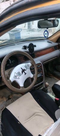 صالون • صفراء • جنوط سوداء