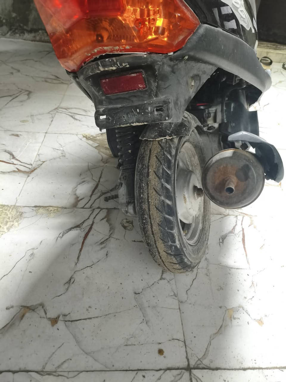 السلام عليكم ماكس منغولي للبيع بوشه 55عايزه كابريته ب300بيها مجال


**إذا كنت صاحب هذا الإعلان وتريد حذفه لأي سبب، رجاءا أرسل رسالة إلى الدعم الفني**